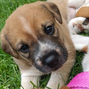 Meet your Posher, Laurie